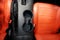 2022 Ford Mustang Mach 1