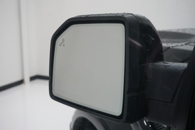 2019 Ford F-150 Shelby