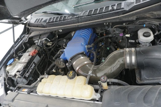 2019 Ford F-150 Shelby