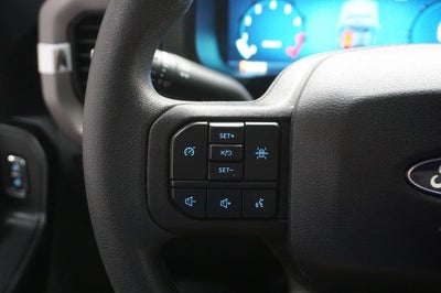 2024 Ford F-150 Black Widow